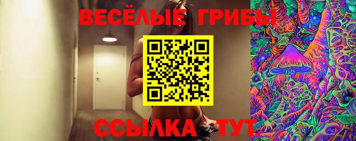 Псилоцибиновые грибы GOLDEN TEACHER Сыктывкар